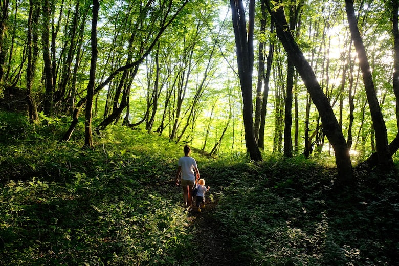 Kid and parent walking in Derring Woods