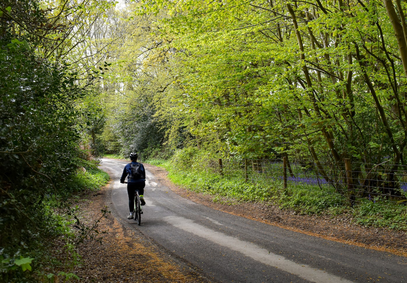 Man riding a bicycle down a road