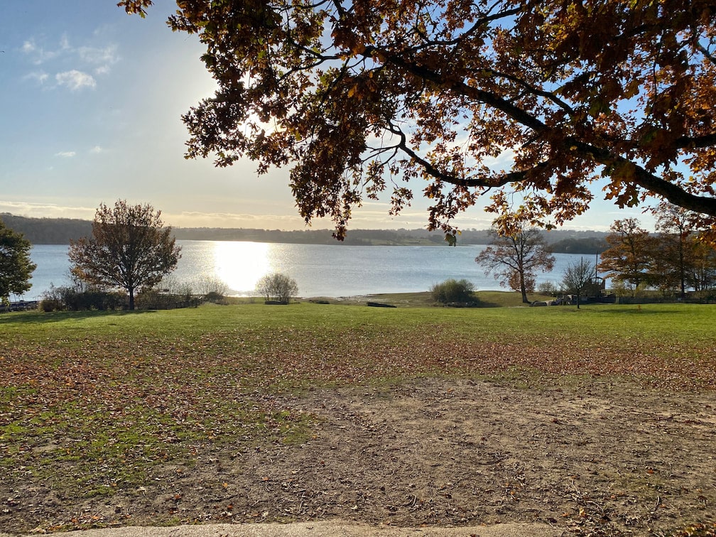 View of Bewl Water