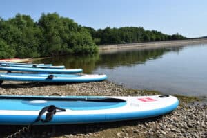A walker posing with his dog.