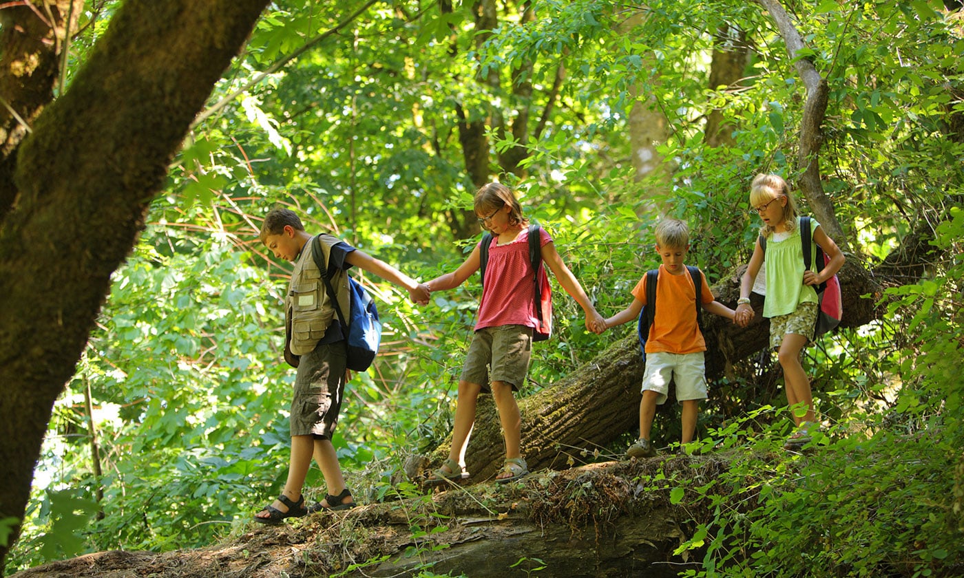 Children on trail