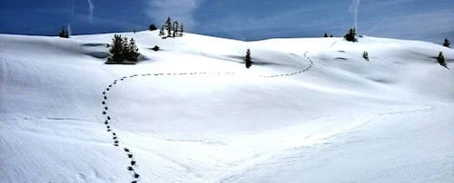 Footprints in snow