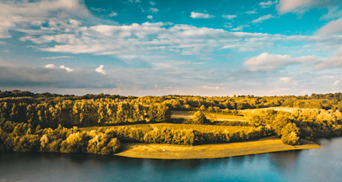 Lake and trees