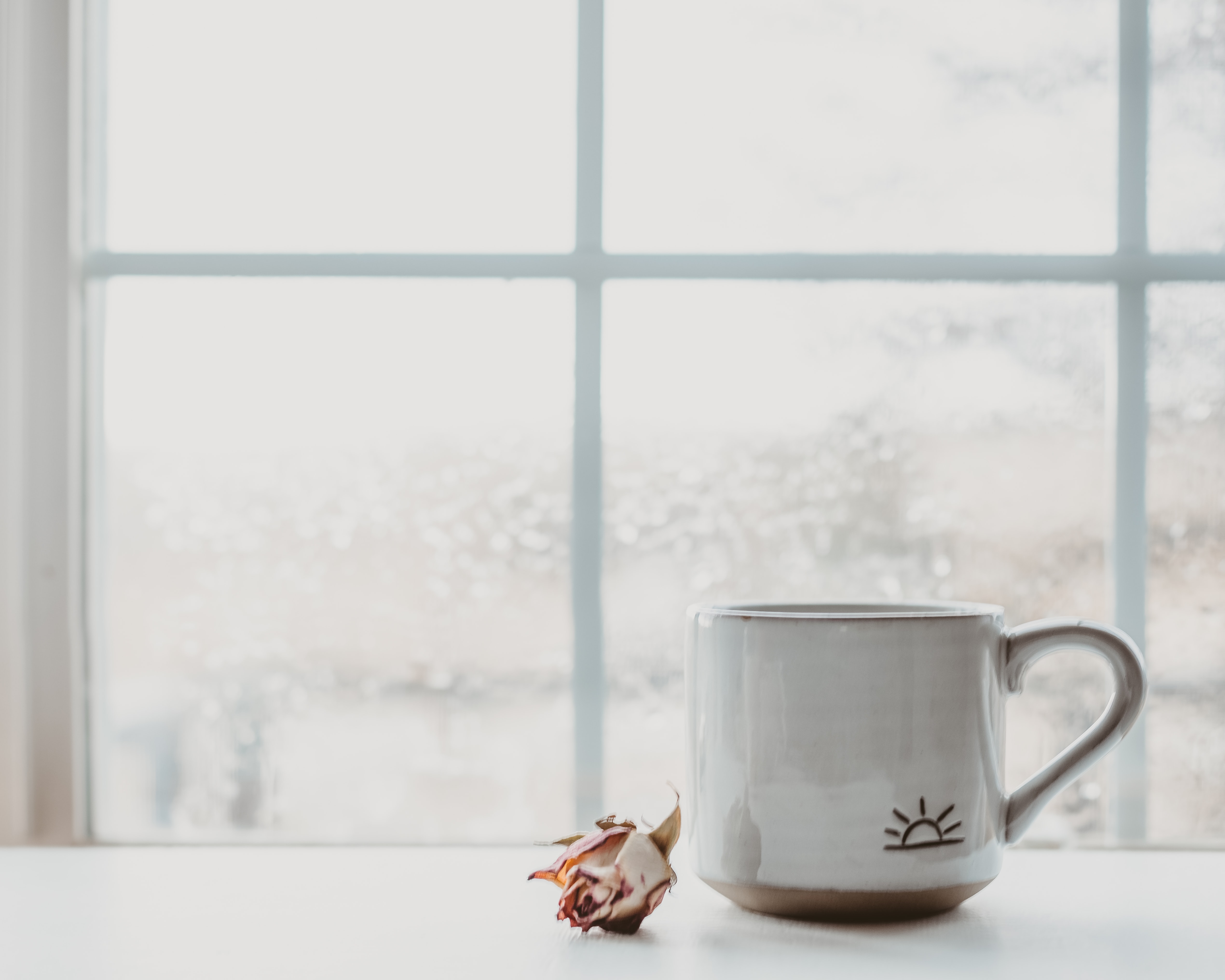 Cup with a dry flower