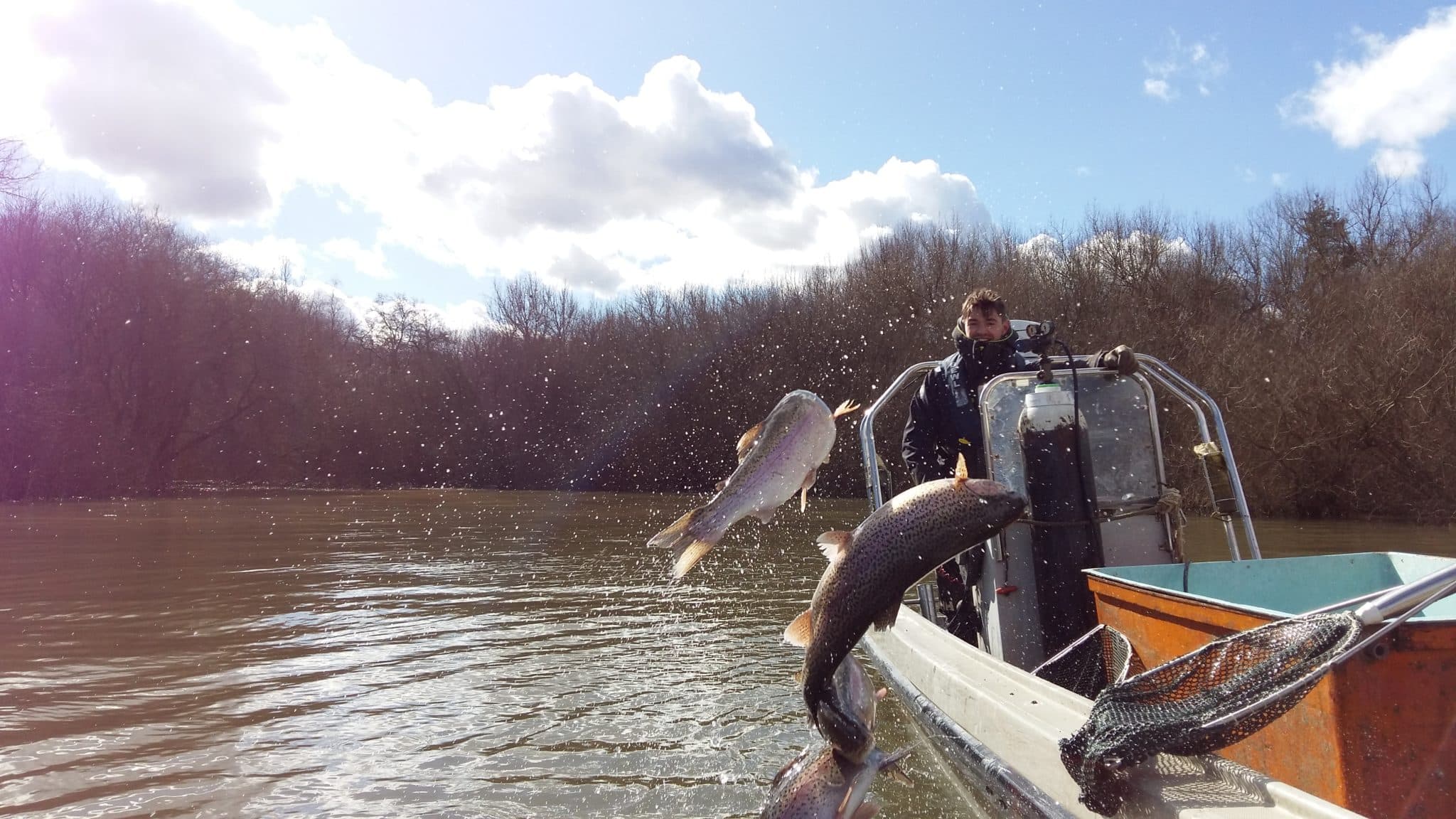 Person on a boat looking at two fish jump