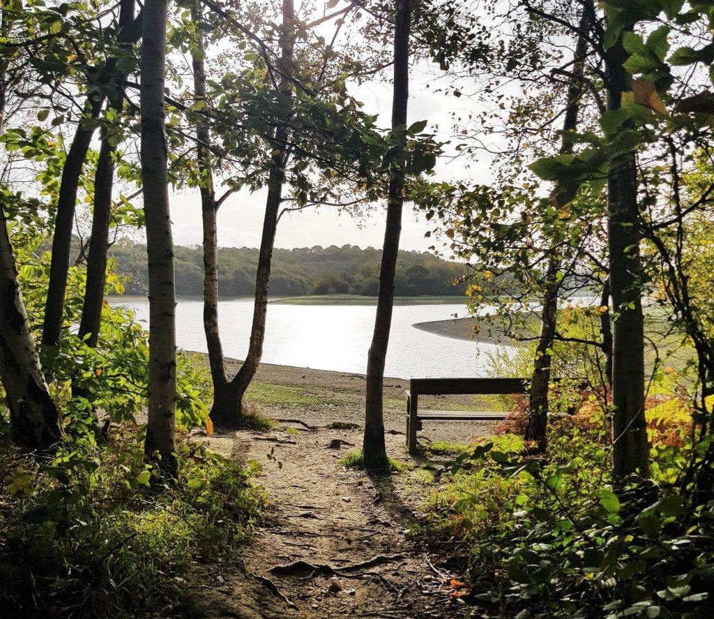 View of the bewl water reservoir