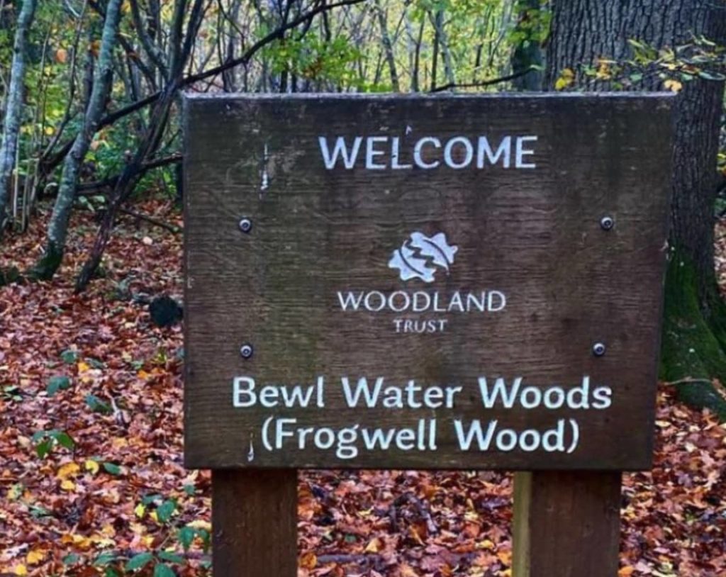 Post with "Welcome to Bewl Water Woods (Frogwell Wood)"