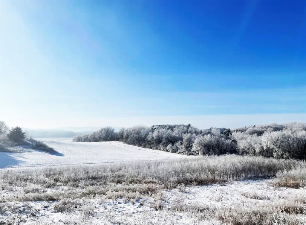 Bewl Water with settled snow