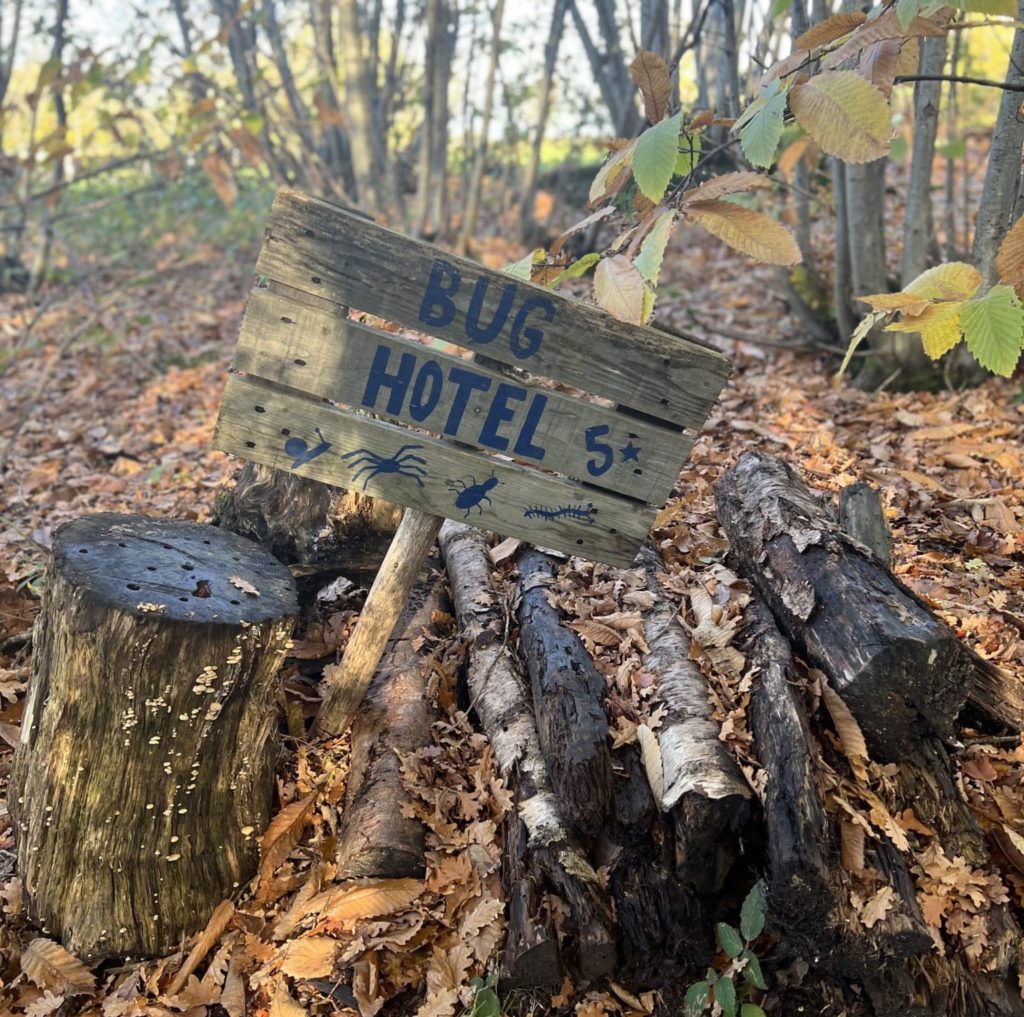 Bug Hotel