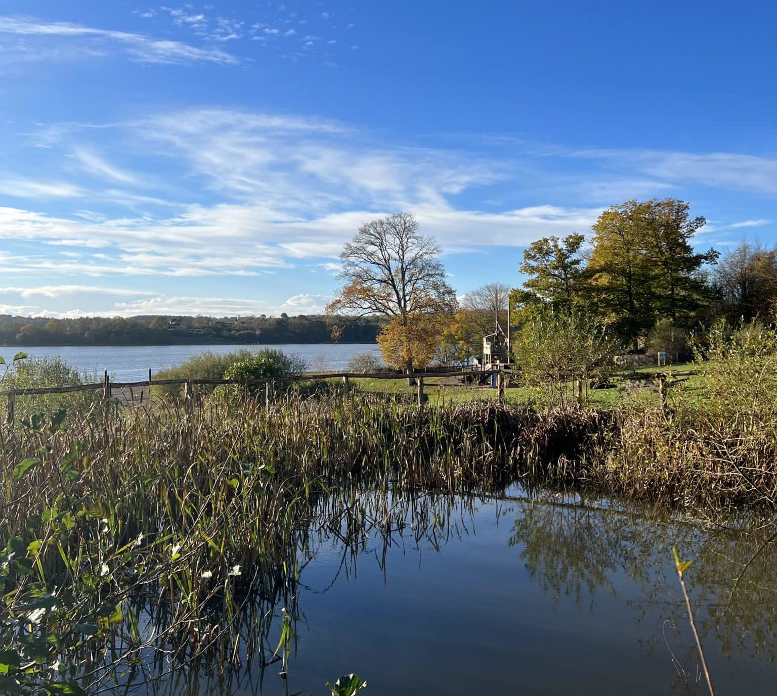 Bewl Water Landscape