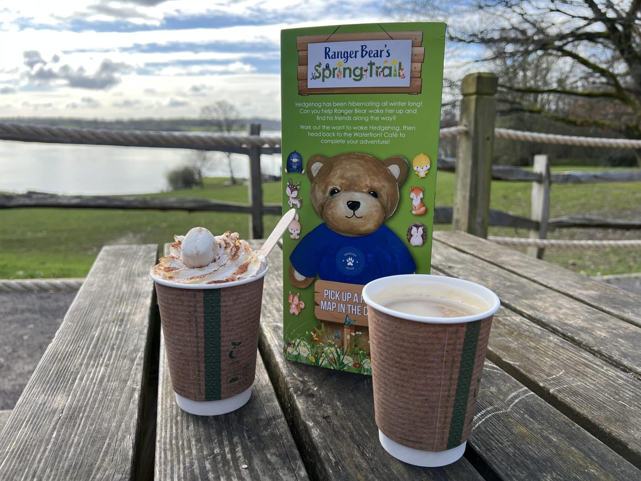 Two coffees on a table with a Ranger Bears Spring Trail Brochure