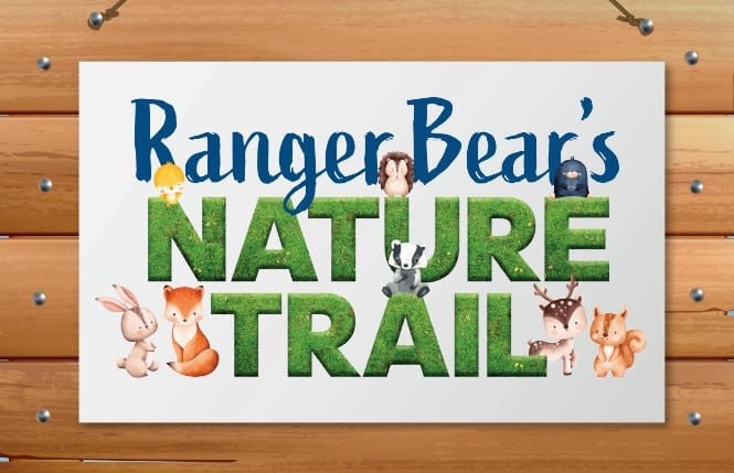 Ranger bear's nature trail