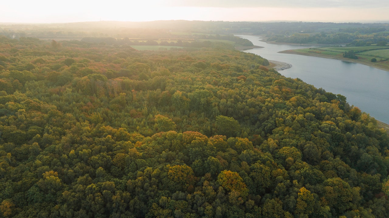 Bewl Water Forest