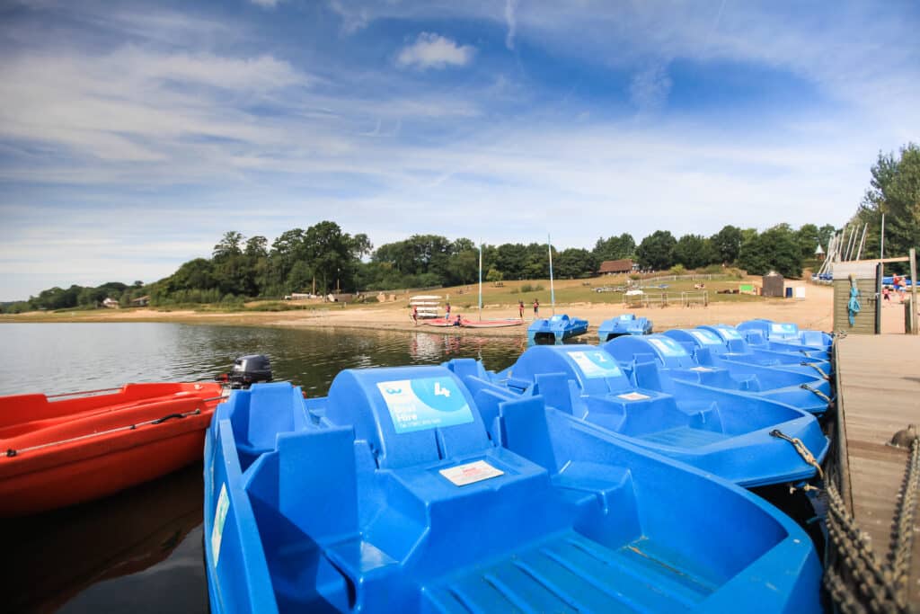 Blue pedalos lined up on the water’s edge at Bewl Water, Kent, with grassy picnic area, and families enjoying outdoor activities in the background under a bright blue sky.